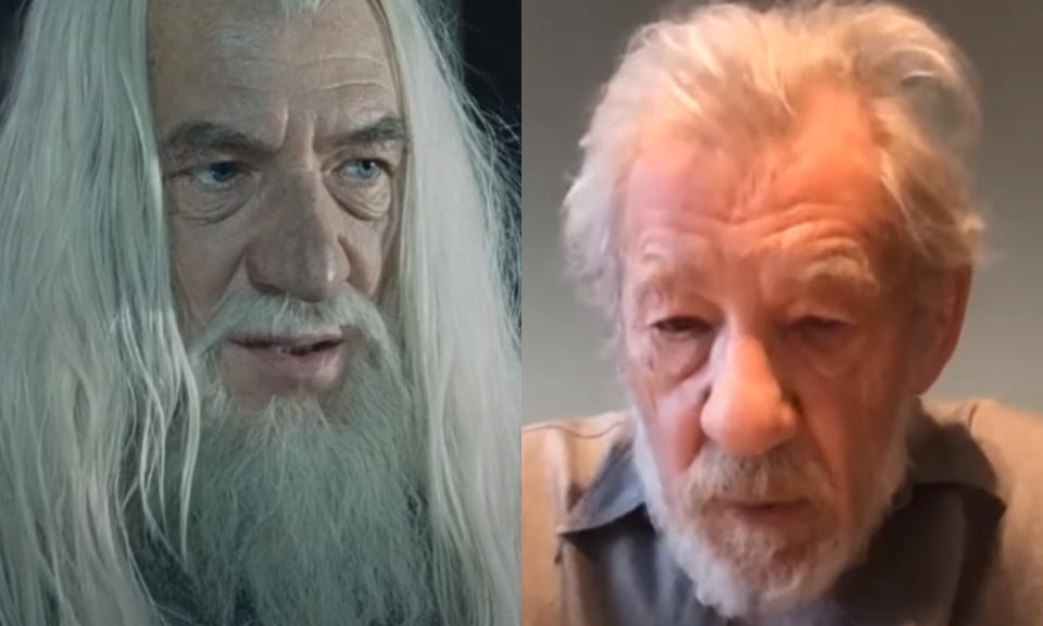 Ian McKellen (Gandalf)