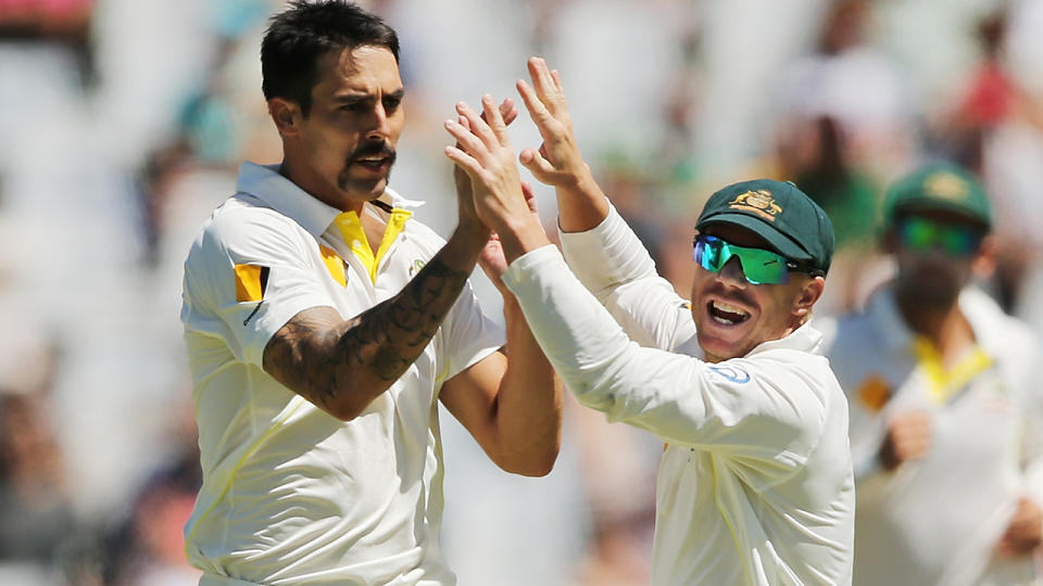 Mitchell Johnson and David Warner, pictured here during a Test match for Australia in 2014.