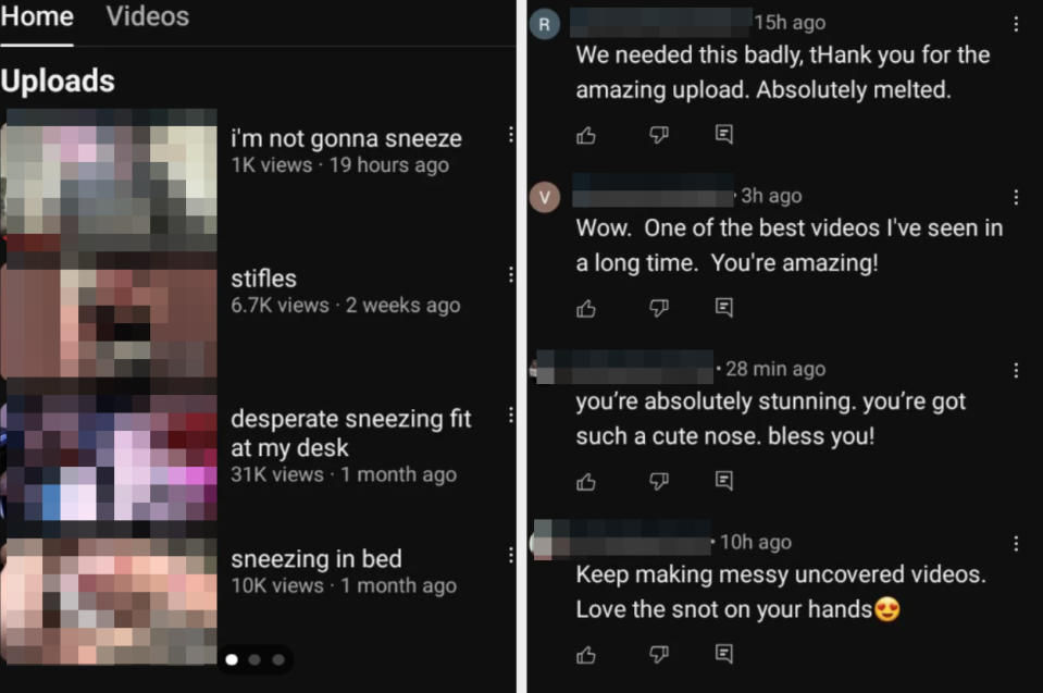 YouTube video comment page with videos like "desperate sneezing fit at my desk" with comments praising the content and requesting similar videos