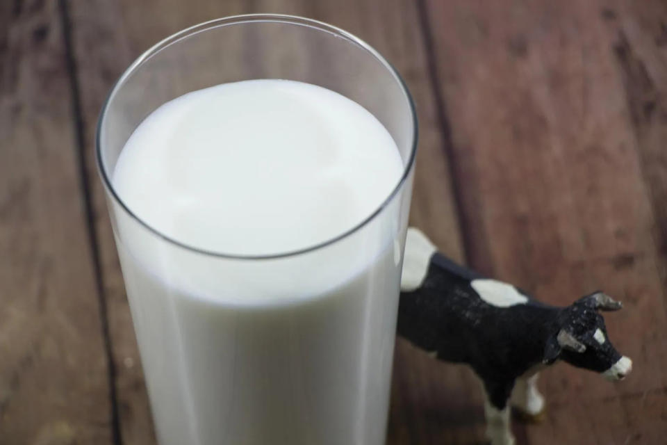 牛奶含有維生素B2，可以促進生長發育也能夠提升脂肪代謝速率。(圖／photoAC)