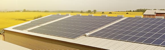 Solar panels on a barn building rooftop on a large farm, on a sunny day with yellow fields surrounding the buildings.