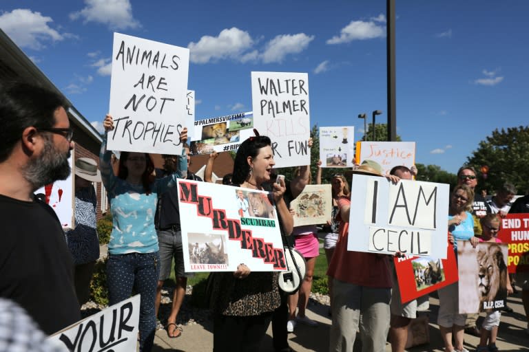 Demonstrators protest against the killing of Cecil the Zimbabwean lion in the parking lot of hunter Dr. Walter Palmer's River Bluff Dental Clinic in Bloomington, Minnesota on July 29, 2015