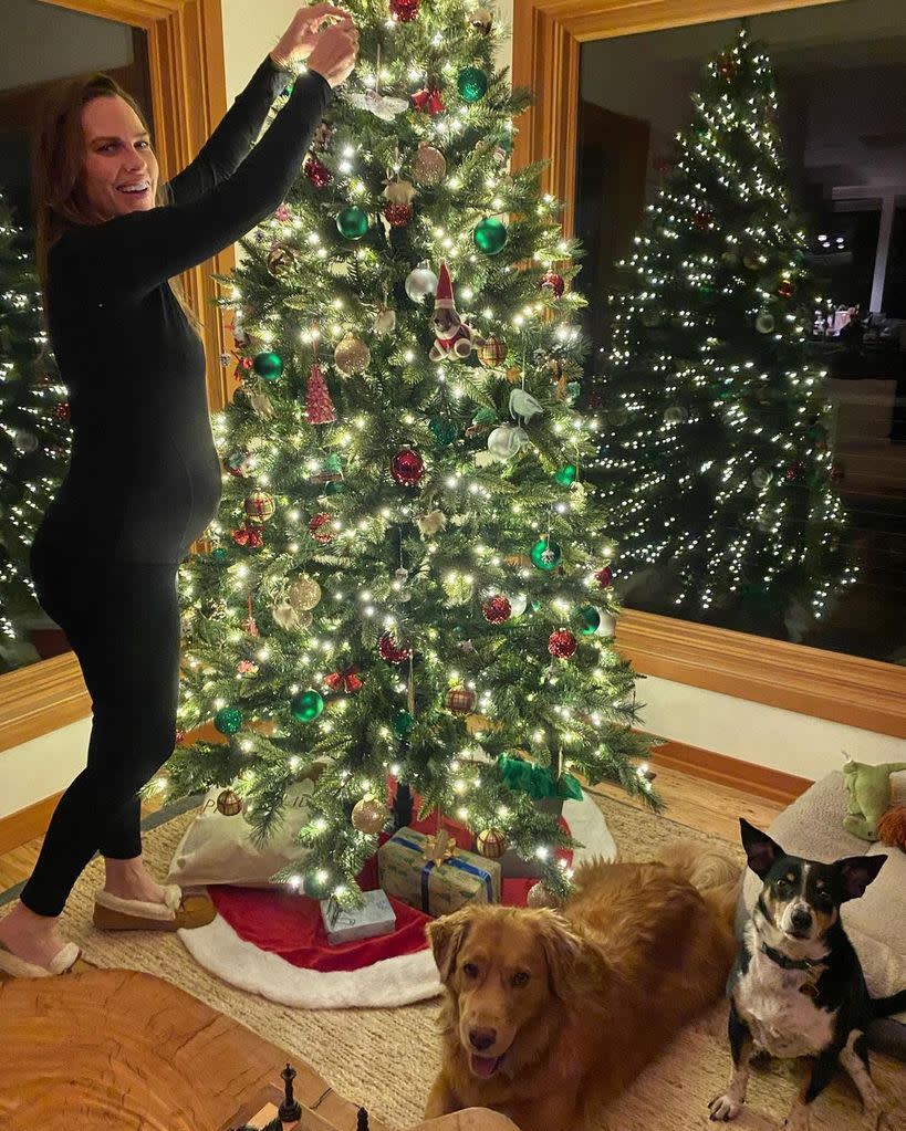 Hilary Swank preparing for her twins' arrival at Christmas time