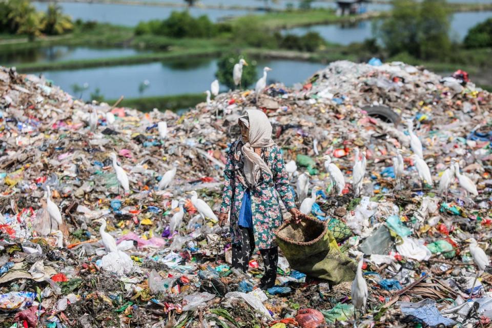 30 November 2022: A person collects plastic materials at a dumpsite in Marelan, Indonesia. According to a record by the Indonesian Environment Ministry, the country produced more than 30,8 million ton waste in 2021, which 17,6 percent was plastic waste (EPA)