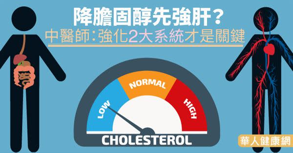 降膽固醇先強肝？中醫師：強化2大系統才是關鍵