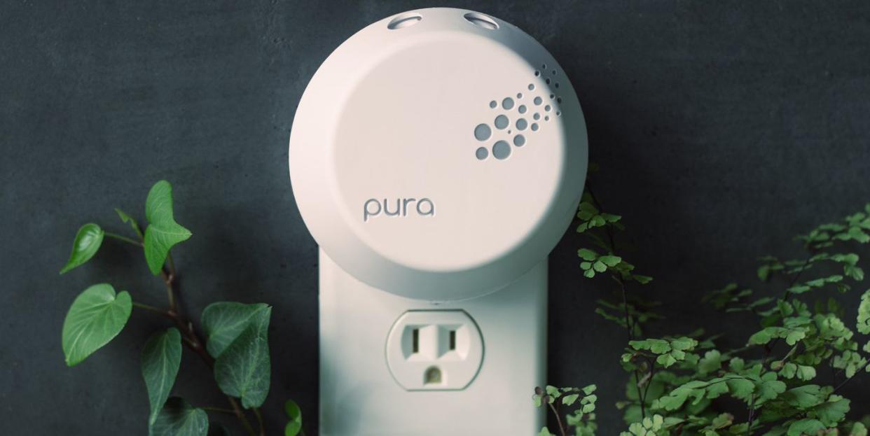 pura plug in review