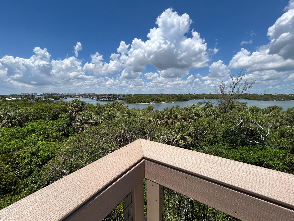 View from Jacob's Outlook at the Gumbo Limbo Nature Center in Boca Raton.