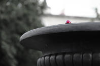 January 2: Berlin colorkey by chrisei71. 'Just another day walking through Berlin, Germany, while holding a camera in my hand. I saw a cherry placed on the edge of a fountain. A cherry placed there where you wouldn't expect one. And you will only notice it if you take your time to look around the world. Keep eyes open and hold your camera at the ready!'