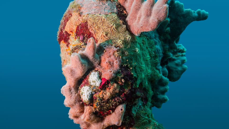 The sculptures are made of high-grade stainless steel and pH-neutral marine cement. - Jason deCaires Taylor/underwatersculpture.com