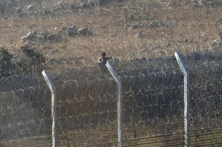 A rebel fighter is seen during a battle with Syrian army soldiers in Syria near the border fence with the Israeli-occupied Golan Heights September 1, 2014. REUTERS/Baz Ratner