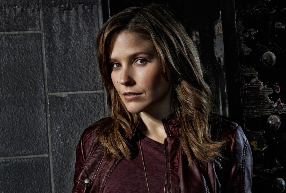 Erin Lindsay, Chicago P.D.