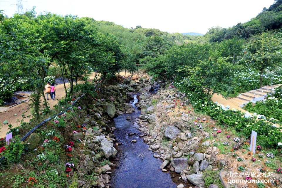 新北景點｜高家繡球花田萬里第三園區