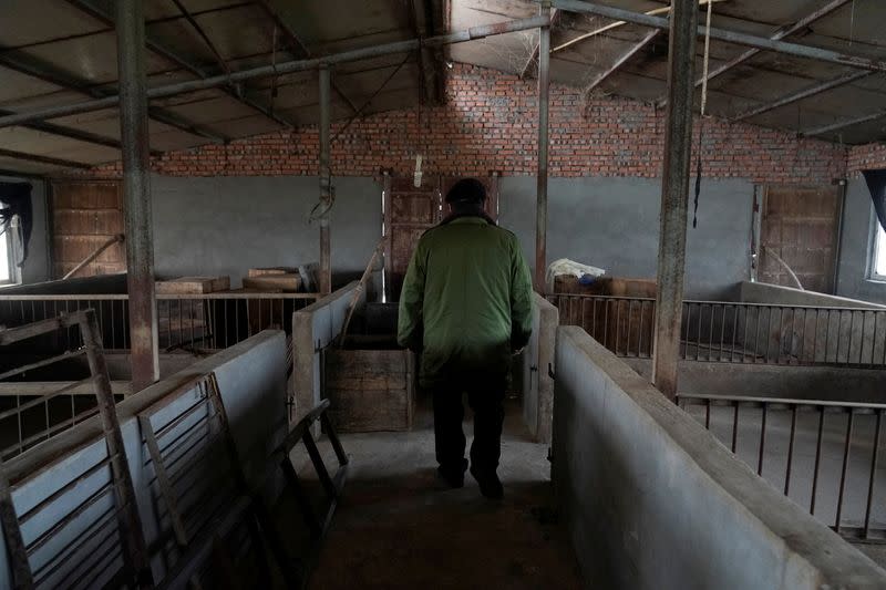 Farmer Zhao stands in his pigpen at a village in Henan province