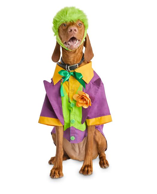 Get this <a href="https://fave.co/2GWNVLH" target="_blank" rel="noopener noreferrer">Bootique DC Joker Dog Costume for $8</a> (normally $12) at Petco. It's available in sizes XS-XL and features a green wig.