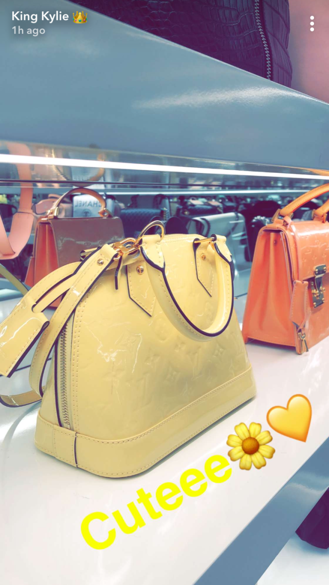 BiancaYoung Blog - Happy #nationalhandbagday! May we all aspire to have a  handbag closet like @kyliejenner one day 🤤 #louisvuitton #hermes #birkin  #supreme #gucci #handbags #kylie #kyliejenner