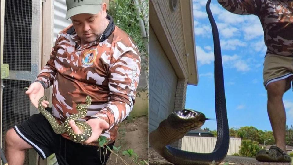 直接將毒蛇甩回去，讓奧客閉上嘴。（圖／翻攝自Lake Macquarie Snake Catcher臉書）