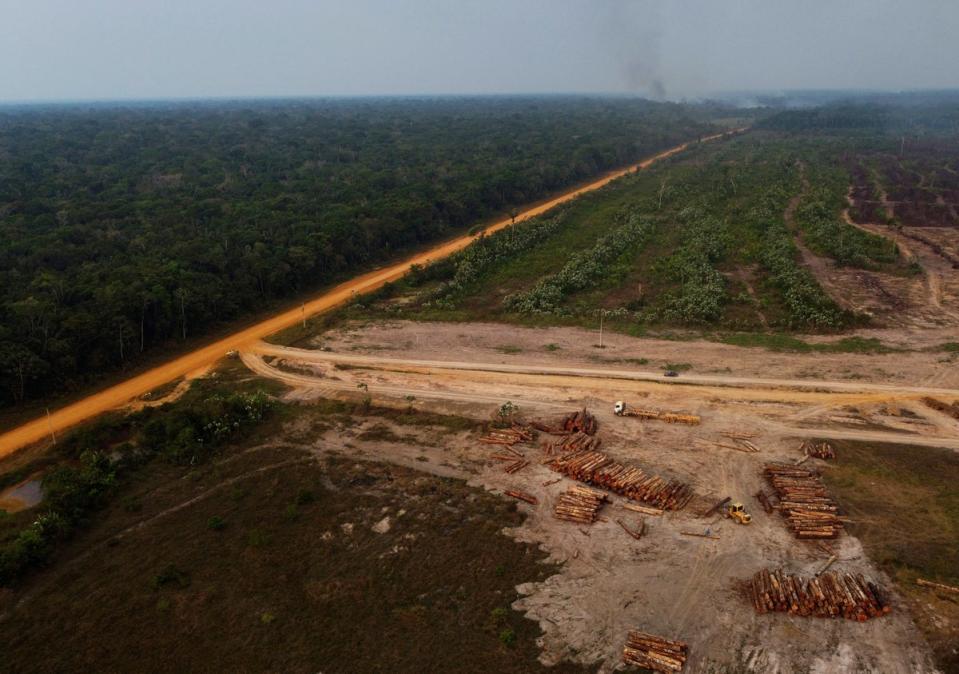 An area of forest on fire near a logging area in the Transamazonica highway region, in the municipality of Humaita, Amazonas state, Brazil (AP)