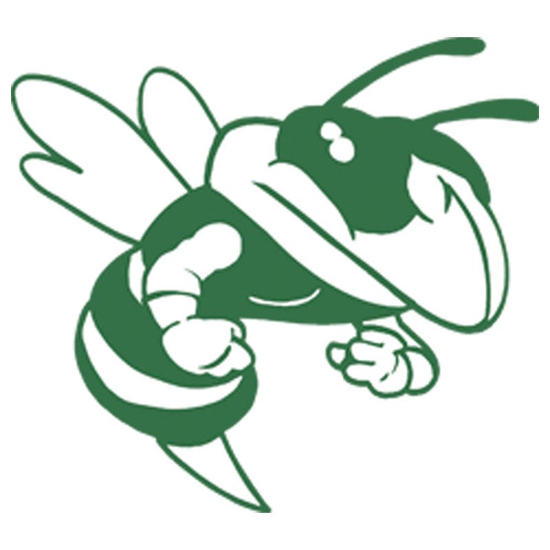 The Mendon Hornets logo