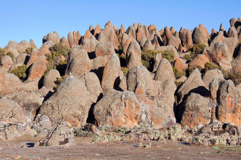 The Rafu Lava Flow with its bizarre rock formations Sanetti Plateau (Alamy Stock Photo)