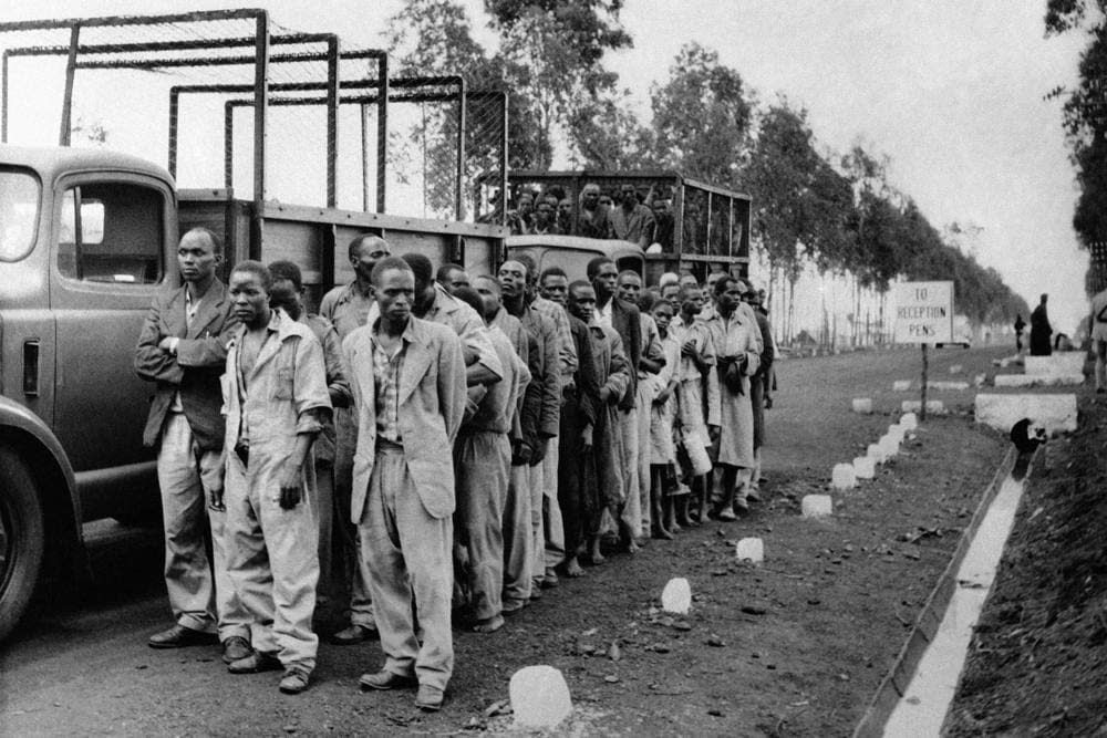 Two lorry loads transporting Kikuyu people arrive at a reception camp outside Nairobi, Kenya, on April 28, 1954, after 5,000 British troops and 1,000 armed police rounded up some 30,000 to 40,000 men for screening. (AP Photo, File)