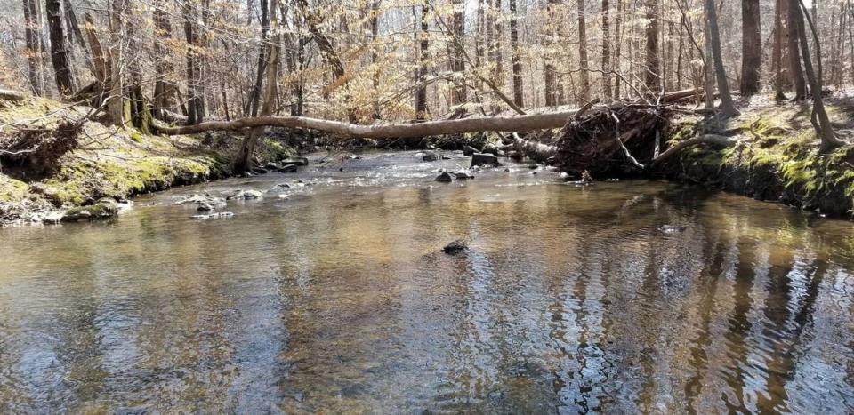 Bolin Creek is narrow in some places, but widens as it nears the intersection with Estes Drive Extension in Carrboro, in part because of flooding and stormwater runoff that causes the banks to erode.