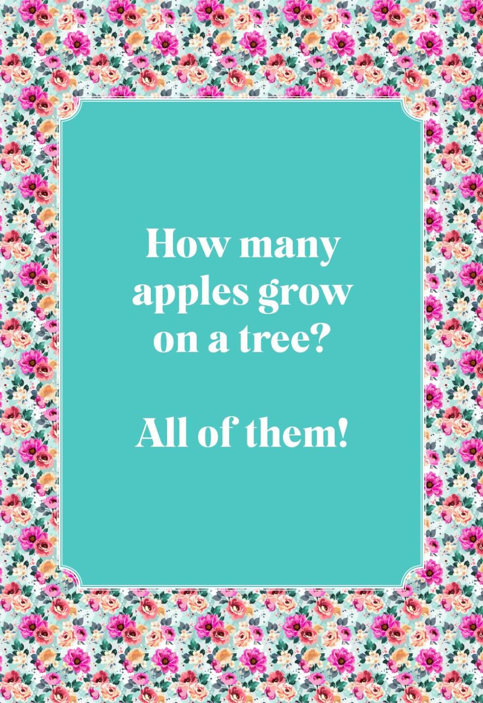 How many apples grow on a tree?