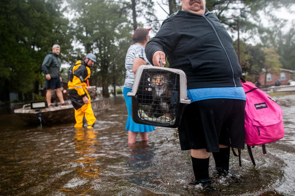 Orlando Collazo holds a pet carrier with his family's cats, Princess and Gizmo, after they were pulled from their flooded home by members of the Cajun Navy in Lumberton, North Carolina, on Sunday. (Photo: Joseph Rushmore for HuffPost)