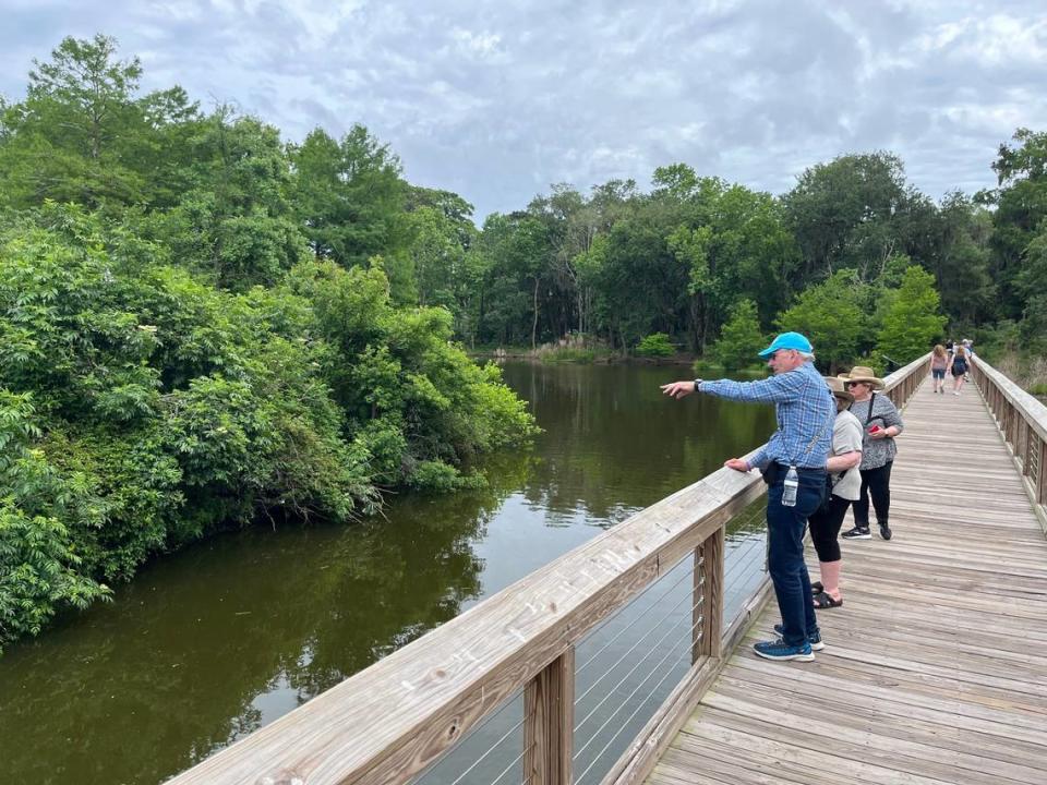 Brian Glass visits Cyrpess Wetlands and Rookery in Port Royal Thursday with his wife, Ellen, far right, and her sister, Barbara Kopel. “This is breathtaking,” Brian Glass said of the rookery.