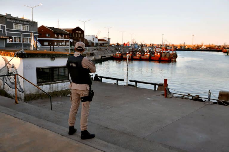 Ante los muertes de los lobos marinos, Senasa clausuró la banquina del puerto y la escollera sur de Mar del Plata 