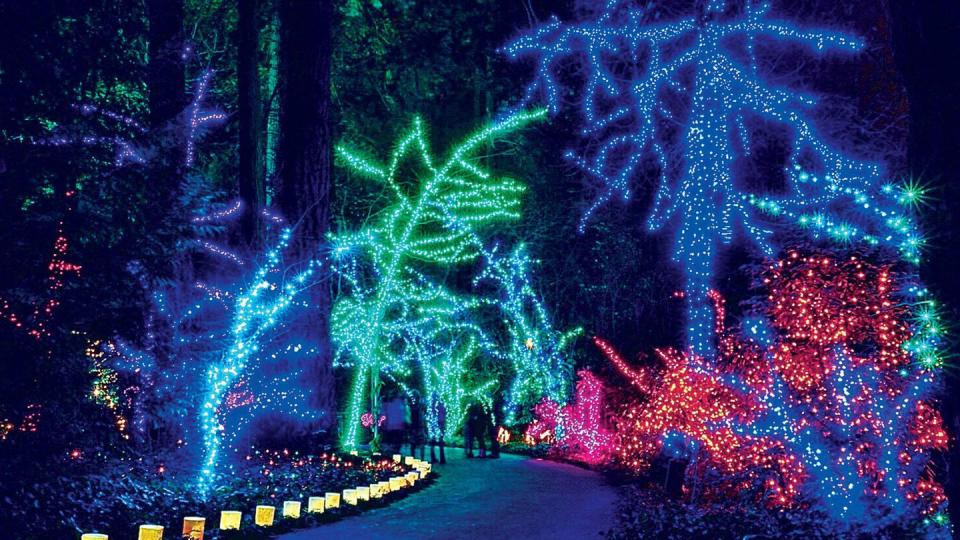 22) Portland, Oregon: The Grotto's Christmas Festival of Lights