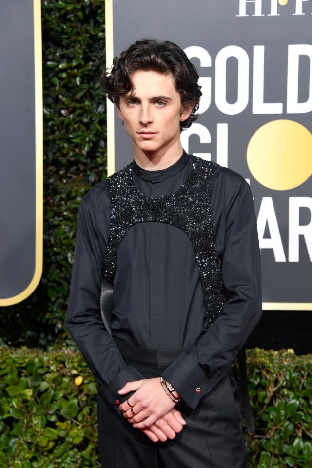 Timothee Chalamet Wears Louis Vuitton Sequined Hoodie: Pics