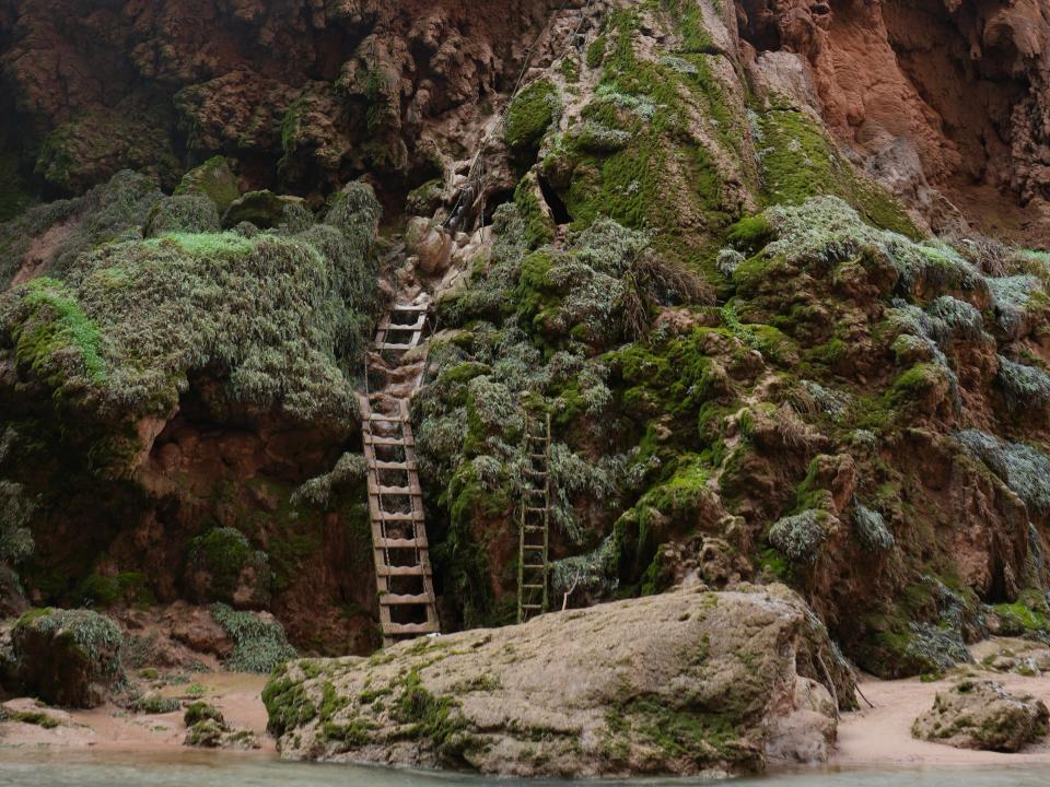 Red-rock formations covered in moss with wooden ladders going up the side.
