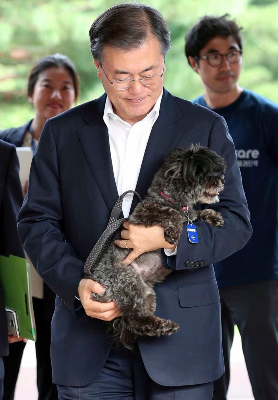 South Korean President Moon Jae-in holds the dog named Tory