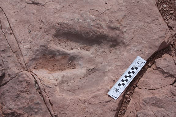 This theropod track was stolen from a Jeep trail near Moab, Utah, on Tuesday, Feb. 18, 2014.