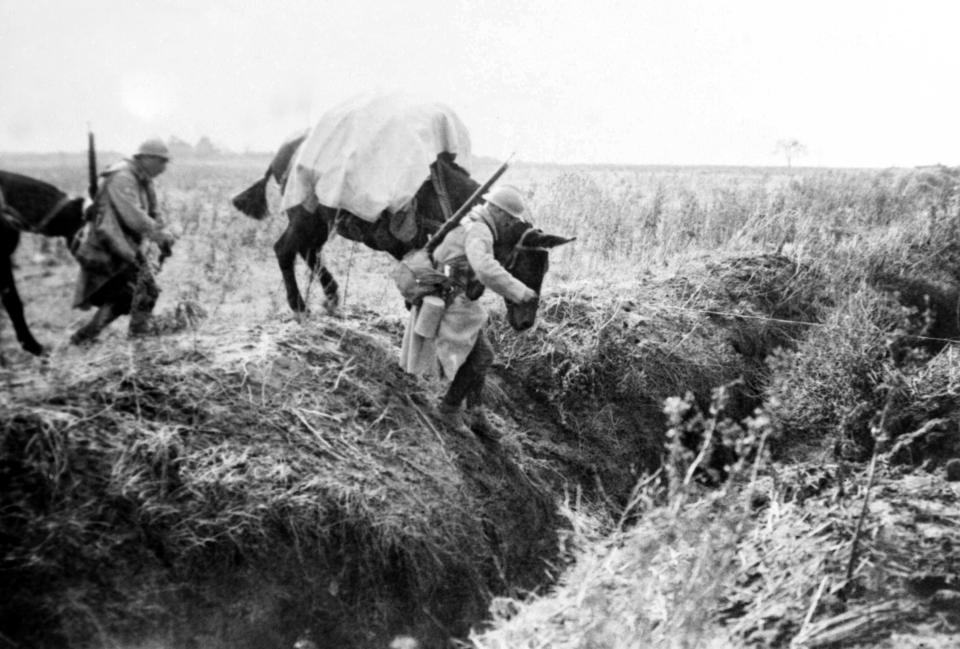 FILE - This undated file photo shows machine gunners with mules crossing a trench in France during WWI. They were messengers, spies, sentinels and the heavy haulers of World War I, carrying supplies, munitions and food and leading cavalry charges. The horses, mules, dogs and pigeons were a vital part of the Allied war machine, saving countless lives _ and dying by the millions. (AP Photo, File)