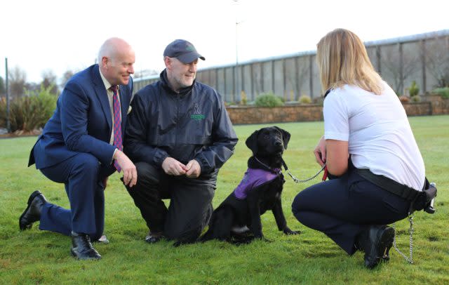 Assistance dogs have been proven to address and promote positive changes in behaviour, reduce stress and reliance on medication as well as enhance the development of social skills, self-esteem and self-confidence (Lorcan Doherty/NIPS/PA)