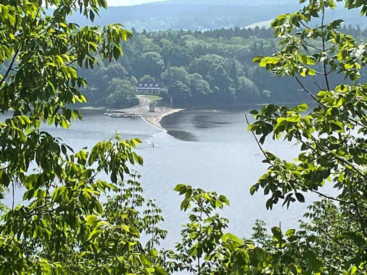 Caton's Island is offering a summer camp for teenage boys described as 'guiding boys to authentic manhood — from confusion to clarity.' (Graham Thompson/CBC - image credit)