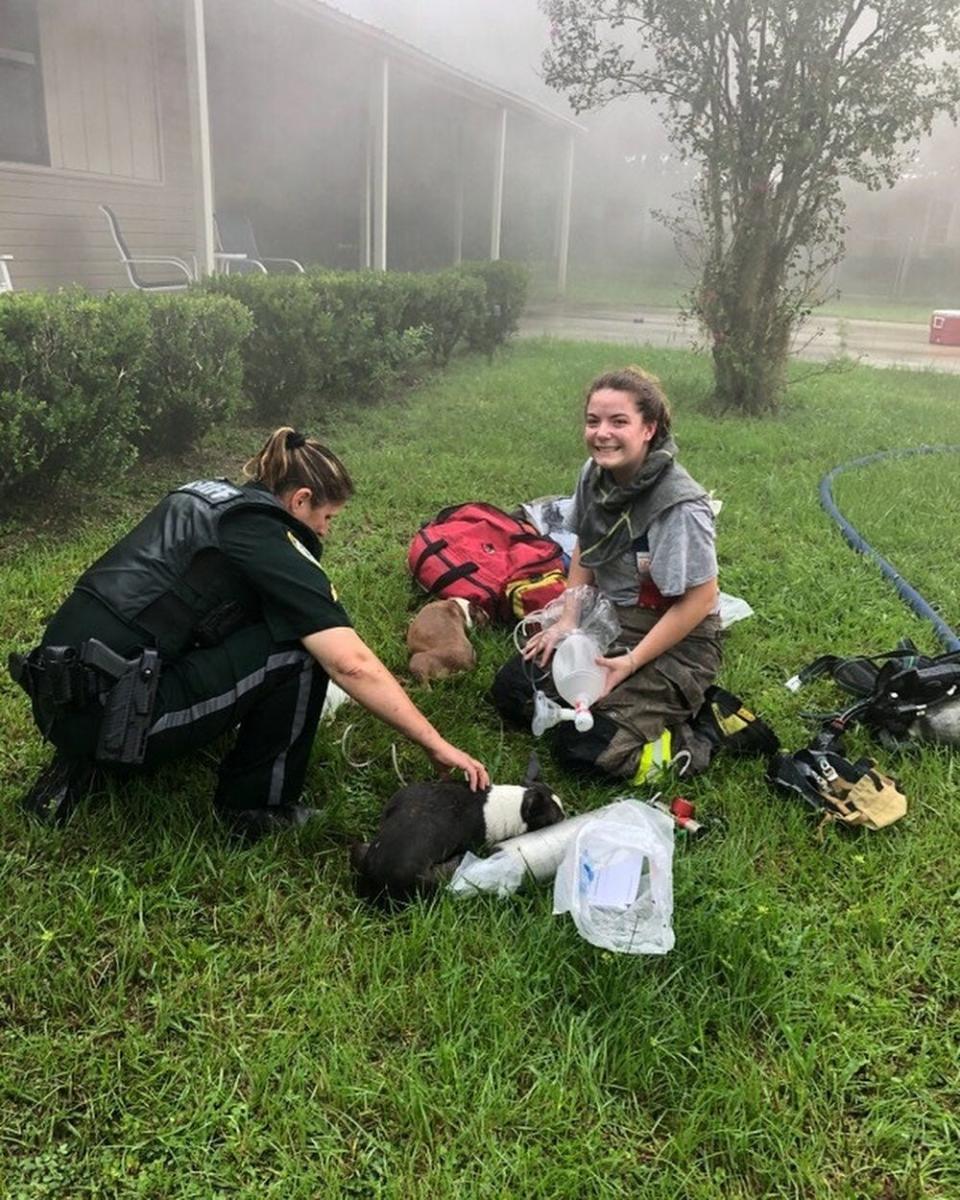 An Amazon driver is being hailed a pet hero after rescuing three puppies from a burning Florida home on 
Aug. 30, 2022.