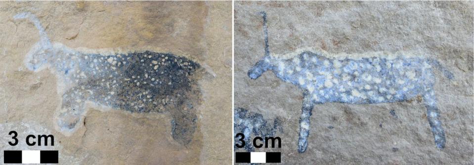 Figure 4. Rain-animals with horns that point up or curve forward at a site near Indwe. David M. Witelson