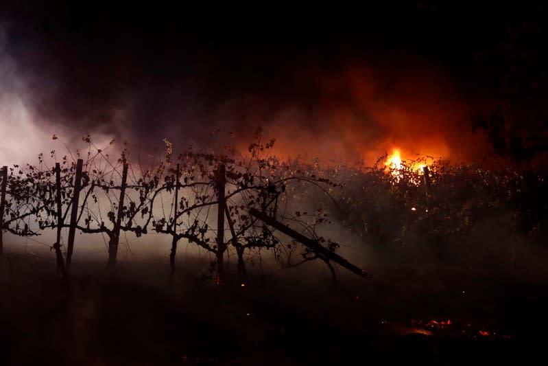 A row of vines smolder as a fire is seen at a distance during the wind-driven Kincade Fire in Healdsburg, California