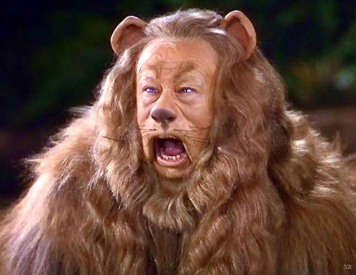 the cowardly lion from the wizard of oz