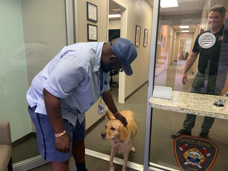 Drew the therapy dog, seen here at Station I of the North River Fire District in Palmetto, is even pleasant to the post office workers and Fed-Ex delivery drivers.