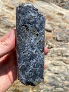 Mineralized core from 2021 backpack drilling