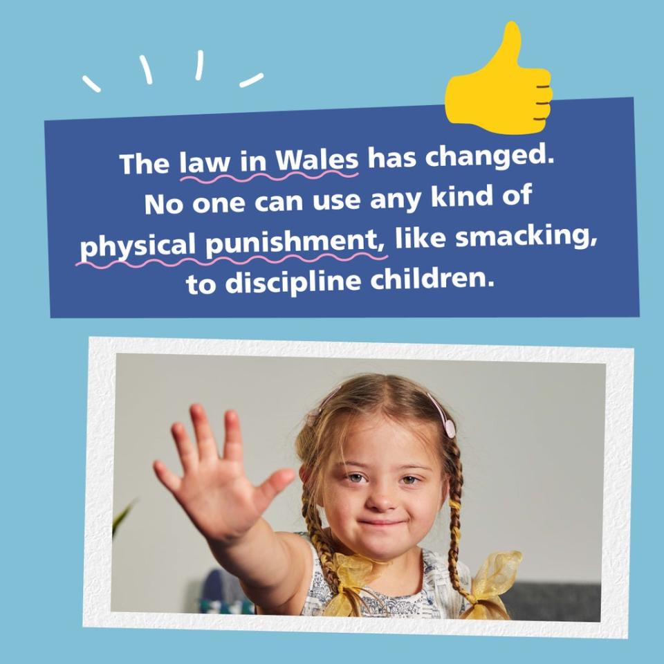 The Welsh Government outlawed the physical punishment of a child in March (Welsh Government/PA) (PA Media)