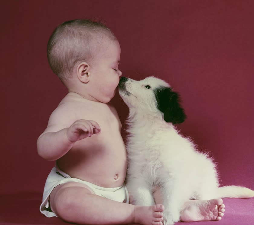 Here are the scary reasons why you should NEVER let a dog lick your baby’s face