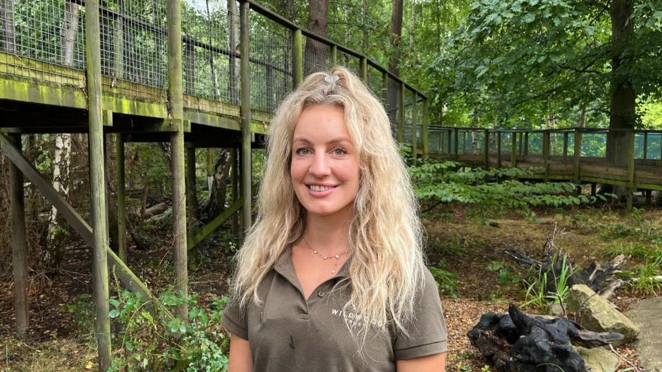 Sally Holt, head of carnivores and small mammals at Wildwood, stands amongst the Arctic foxes pin their enclosure