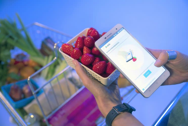 H2 Smartphone - Scanning Strawberries