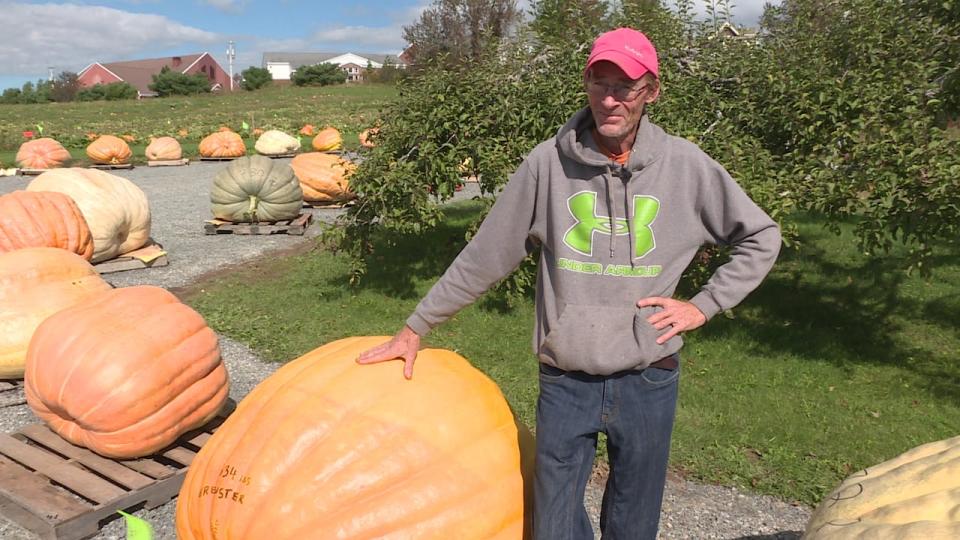 Danny Dill says this was a mediocre year for giant pumpkin growing. The cold, wet June meant they missed key growing weeks. 