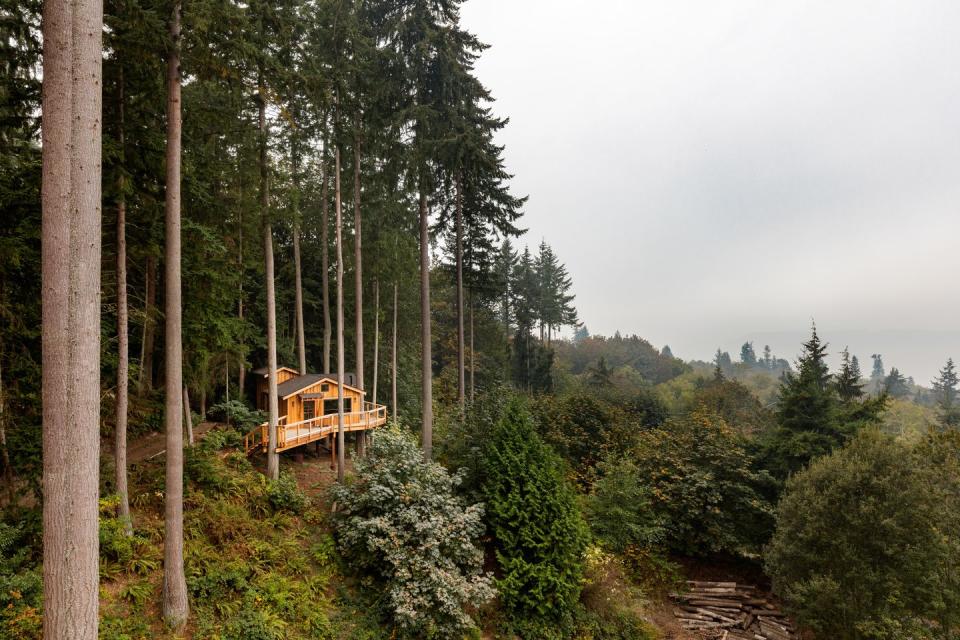 guesthouse of george and carol tillery in suburban seattle interior designer white space design group architect nelson treehouse