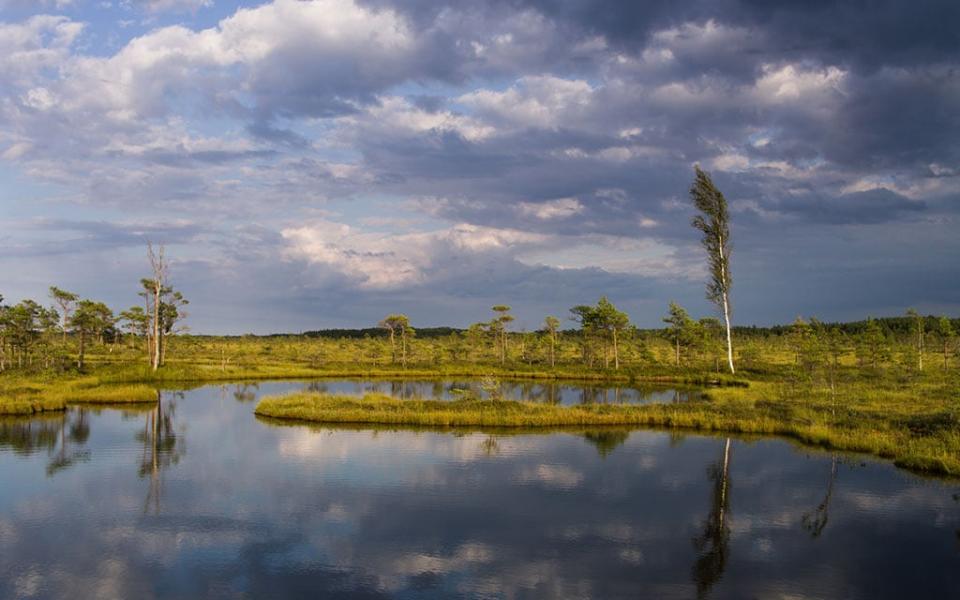 soomaa national park, estonia - Getty